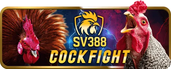 Cấp độ VIP Vàng h88 code